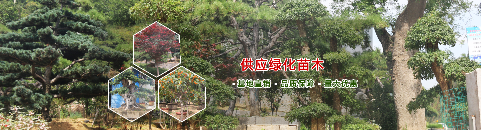 泰安諾盾礦山設(shè)備有限公司